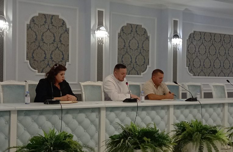 В Саранске прошла консультативная онлайн-сессия по реализации грантового проекта «Музыка единства: диалог культур и основа межэтнического согласия».